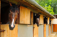 free Clwt Y Bont stable construction quotes